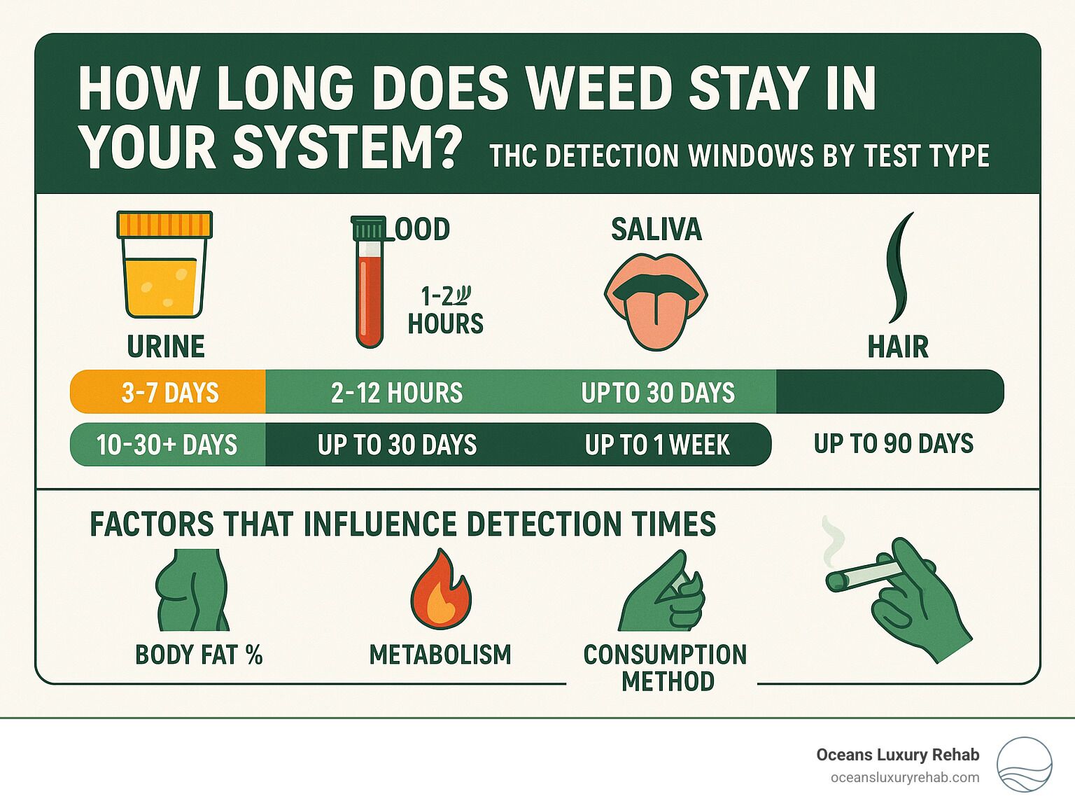 How Long Does Weed Stay in the System After Quitting?